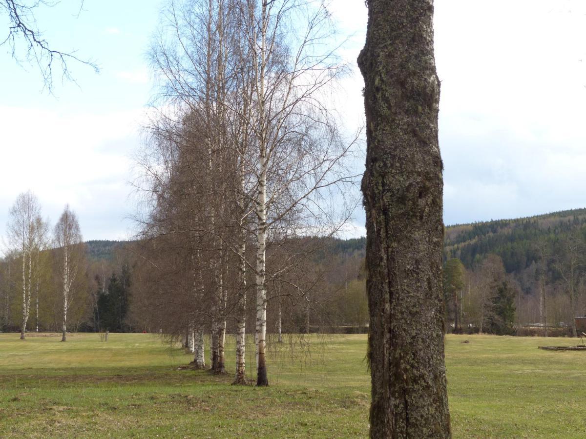 Ferienhaus Bjoerkebo Stöllet Exteriér fotografie